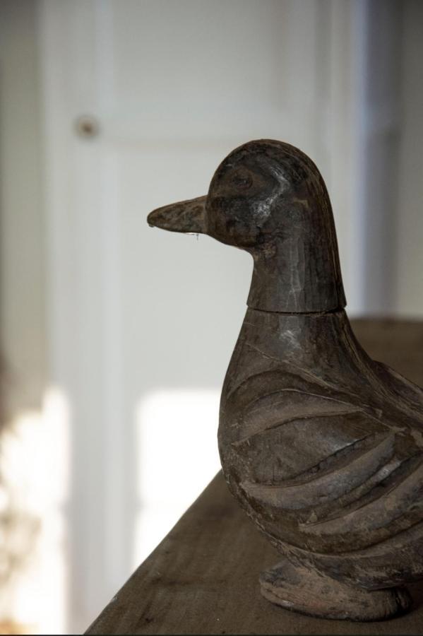 Le Roi Des Oiseaux - Gite A La Campagne Montcavrel Εξωτερικό φωτογραφία